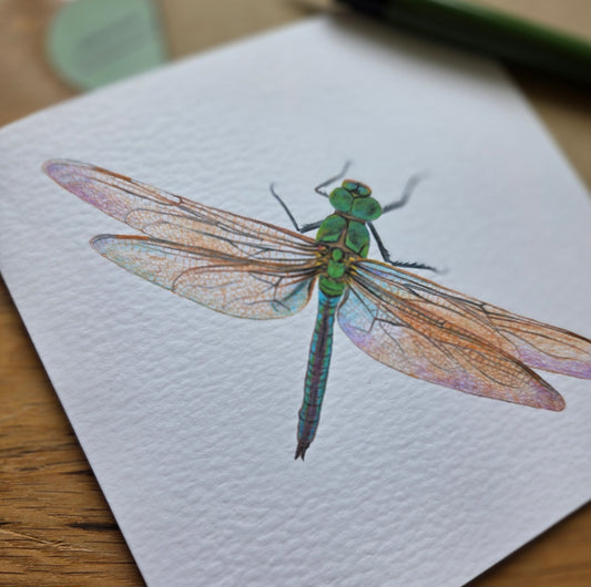 Dragonfly Greetings Card