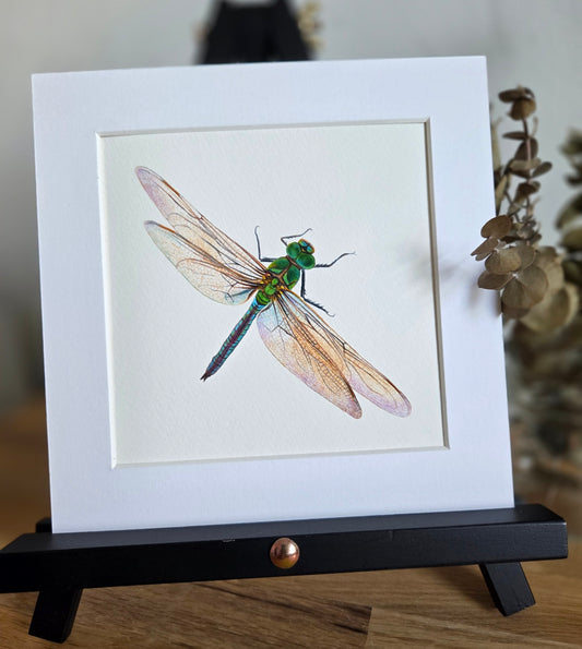 Dragonfly mini Art Print