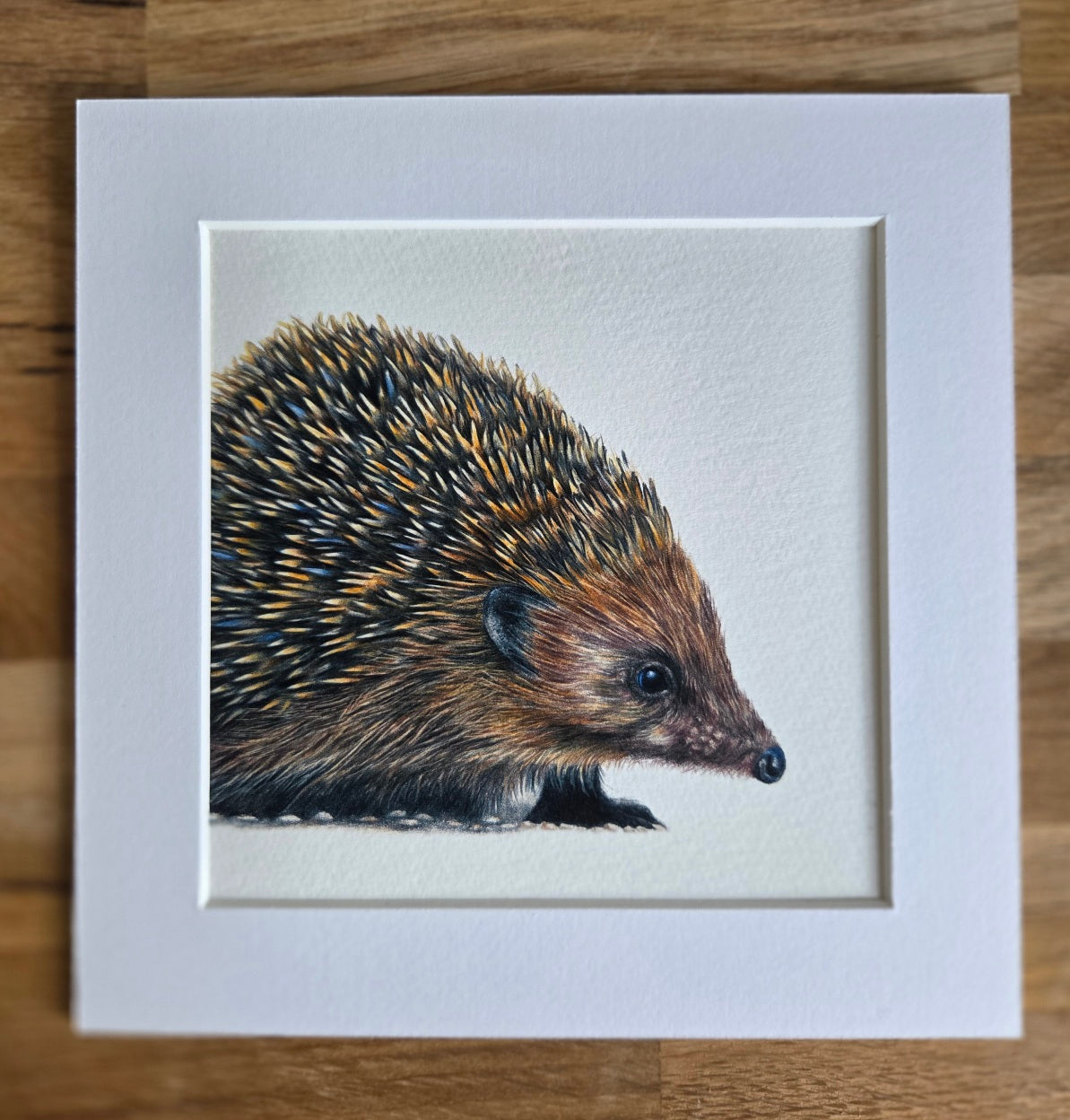 Hedgehog mini Art Print