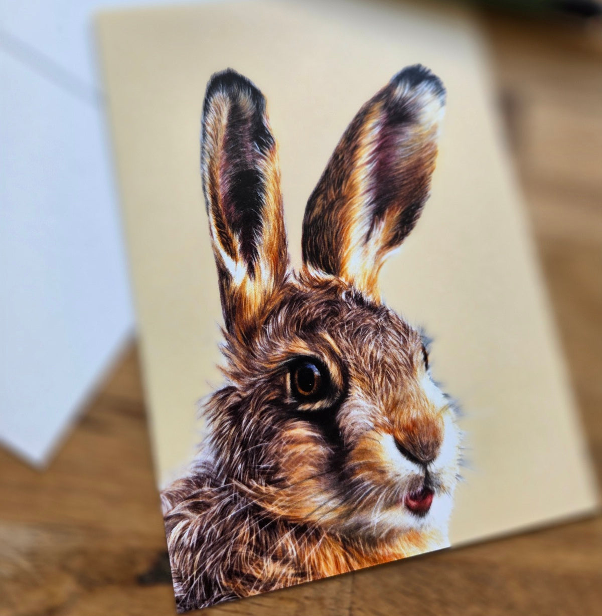 Leveret (hare) illustrated post card