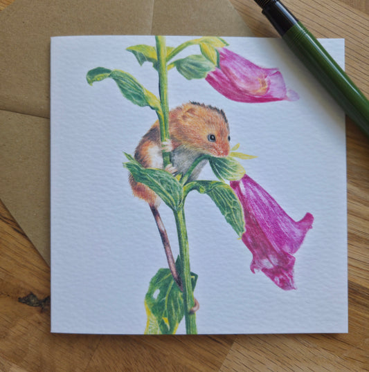 Mouse and foxglove Greetings Card