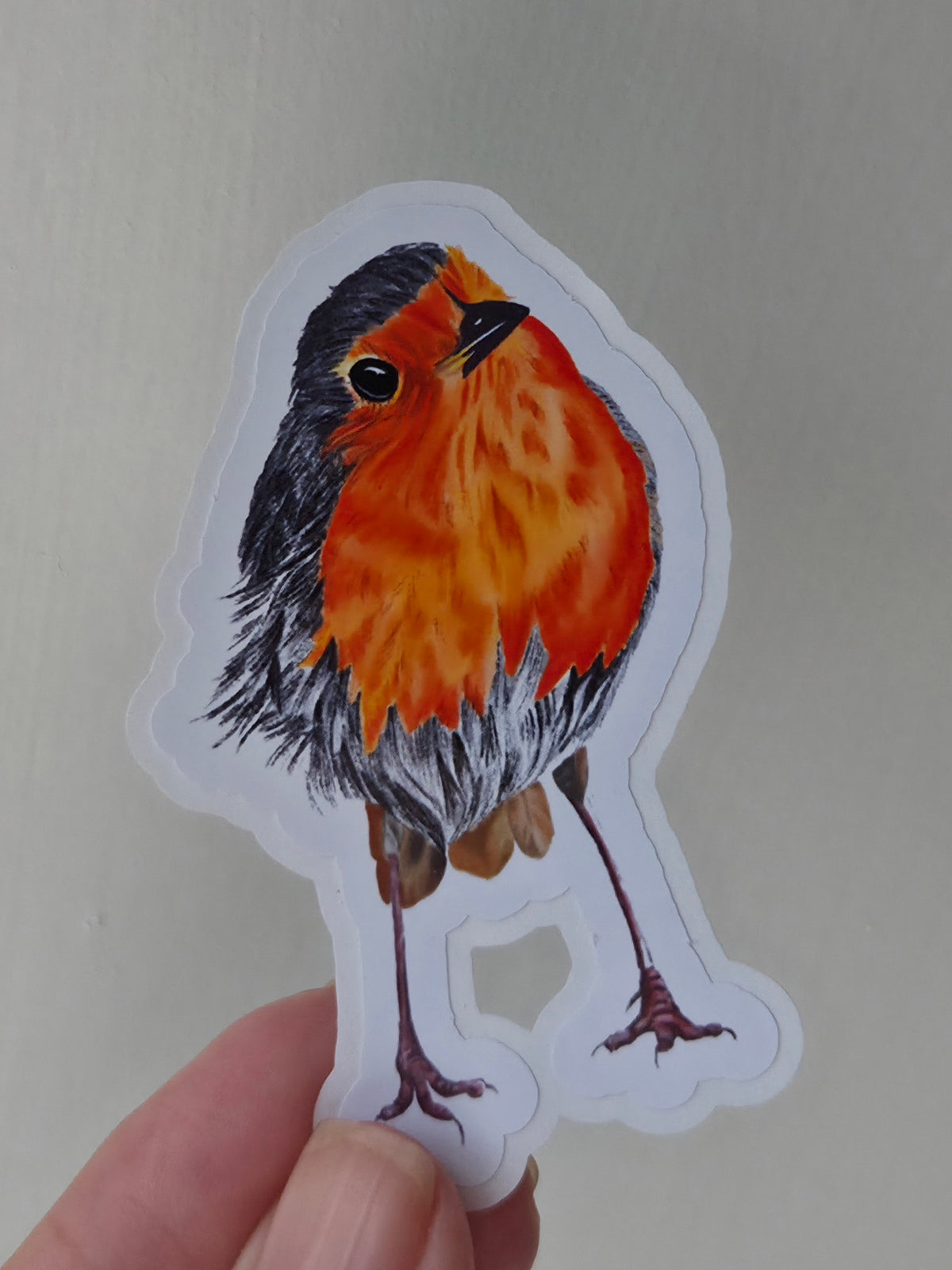 Handmade illustrated Robin Sticker | Hand-drawn (digital) Illustration Art Sticker