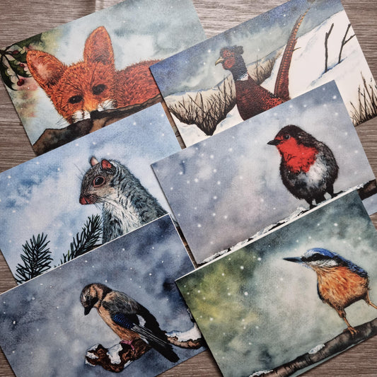Watercolor Christmas Cards | UK Wildlife Art Prints, Pack of 6