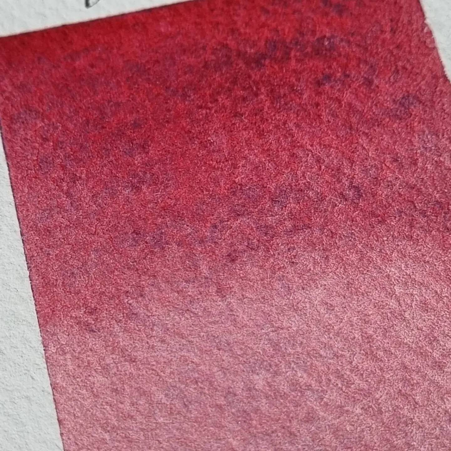 Handmade vegan watercolour paint | granulating and separating red/pink/purple/blue | Verbena