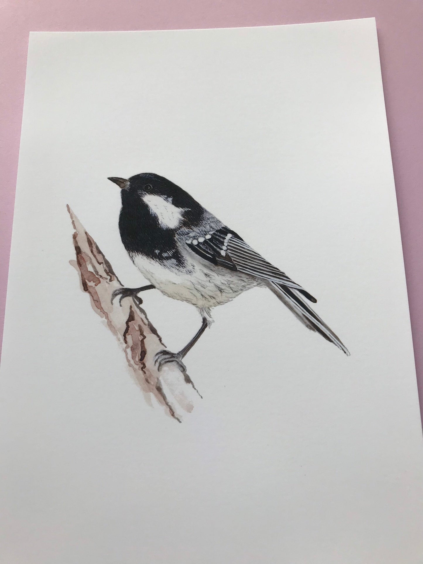 A5 hand painted Watercolour print  Coal Tit Print | Wildlife | Bird | wall art
