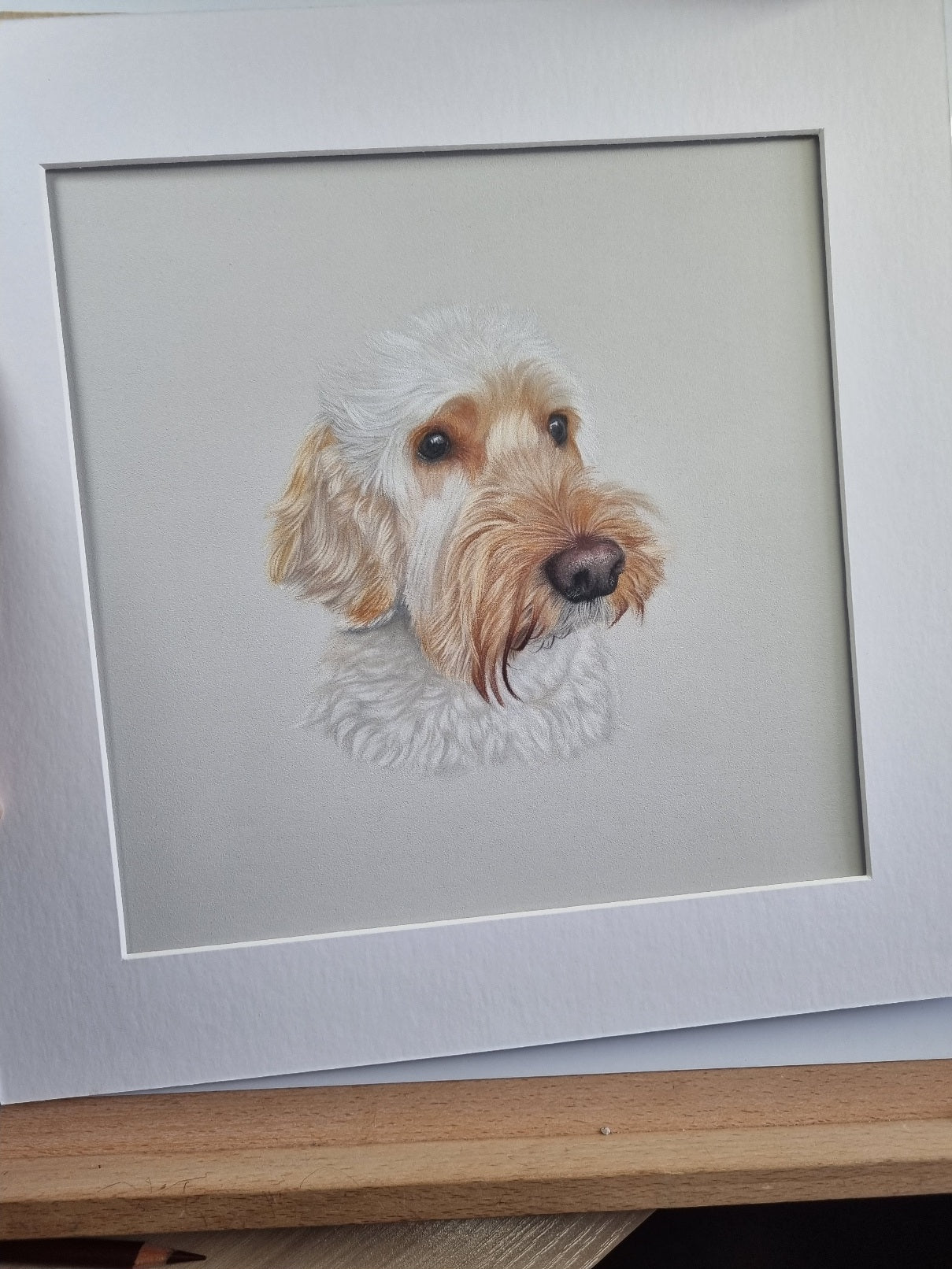 Custom Pet Portrait Hand Drawn in Colour Pencil – Head Study 8x8" Mounted to 12x12" | Personalised Dog Cat Portrait Gift