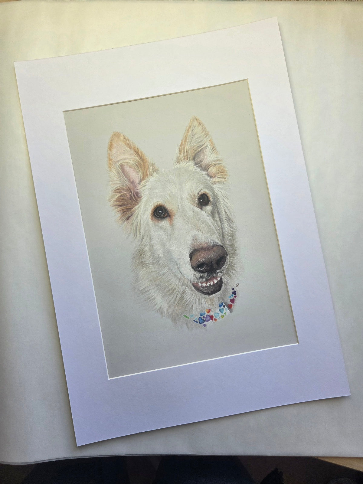 Custom Pet Portrait Hand Drawn in Colour Pencil – Head Study 8x8" Mounted to 12x12" | Personalised Dog Cat Portrait Gift