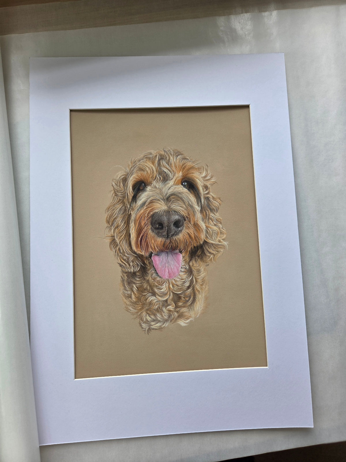 Custom Pet Portrait Hand Drawn in Colour Pencil – Head Study 8x8" Mounted to 12x12" | Personalised Dog Cat Portrait Gift