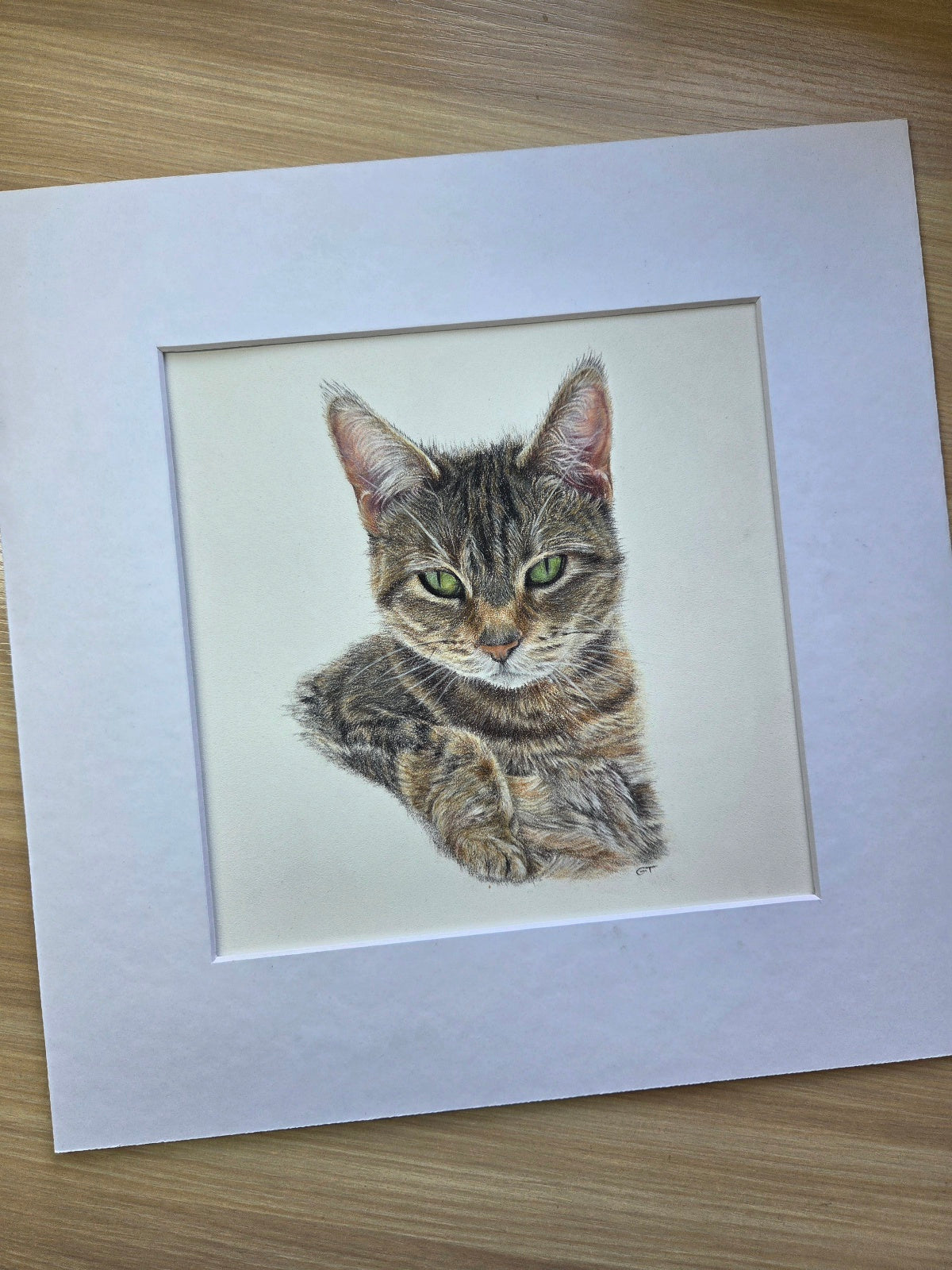 Custom Pet Portrait Hand Drawn in Colour Pencil – Head Study 8x8" Mounted to 12x12" | Personalised Dog Cat Portrait Gift