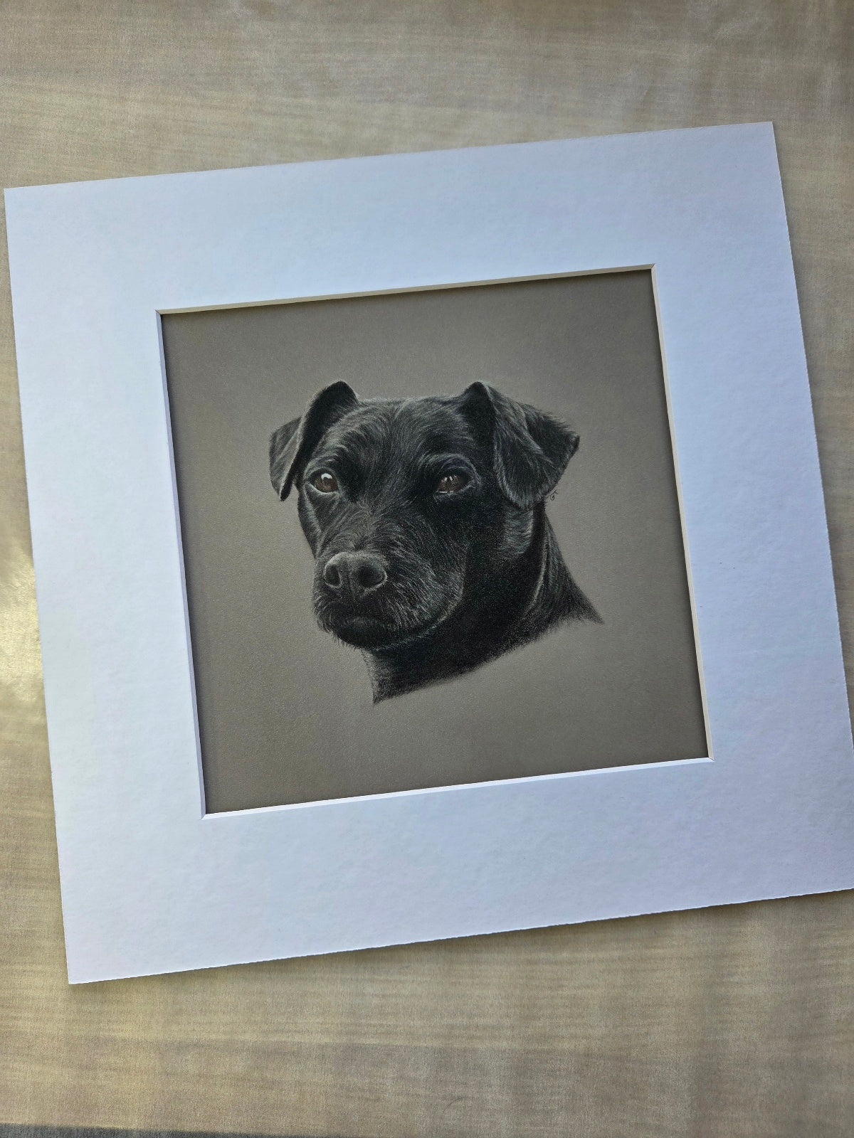 Custom Pet Portrait Hand Drawn in Colour Pencil – Head Study 8x8" Mounted to 12x12" | Personalised Dog Cat Portrait Gift