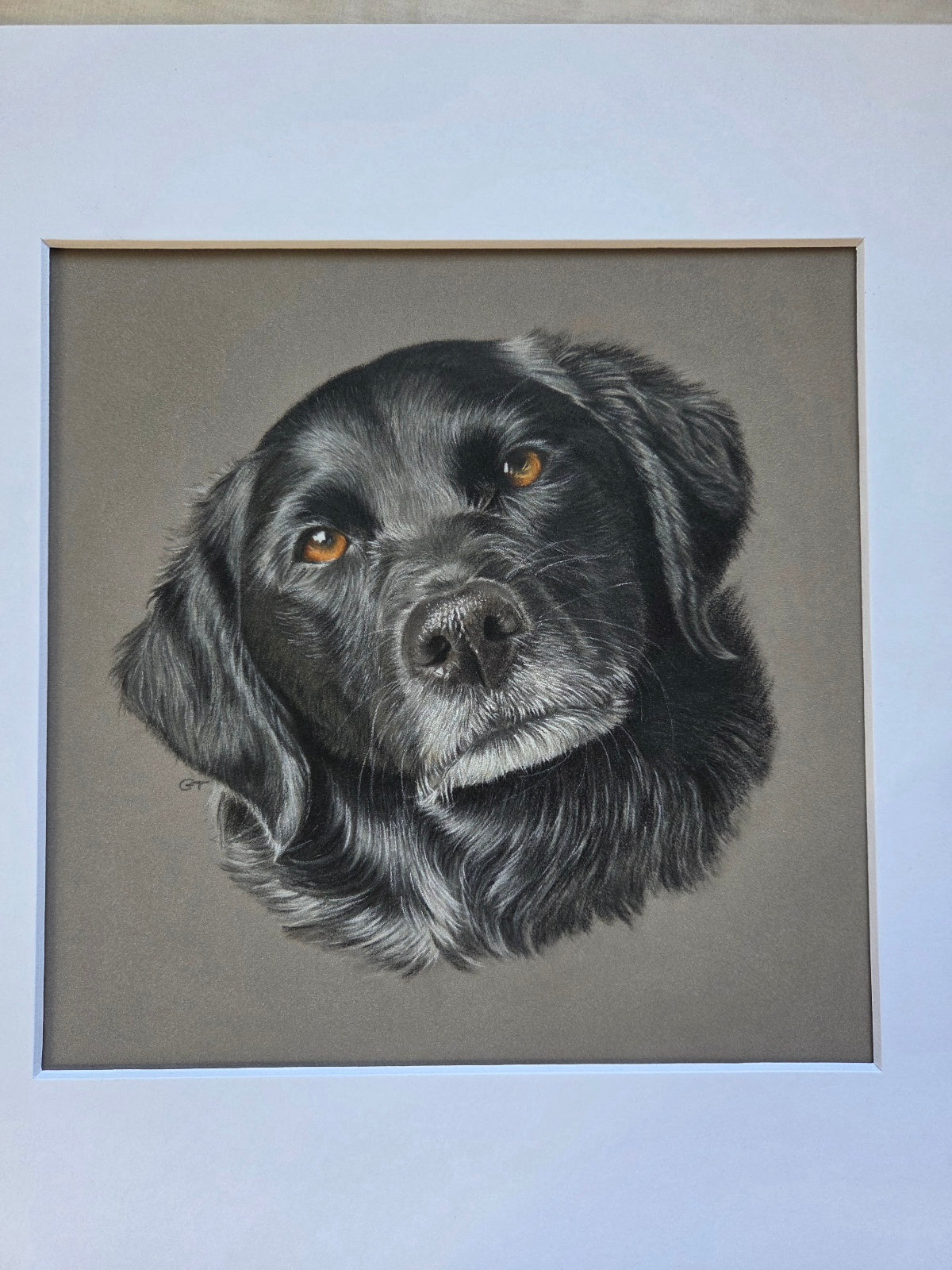 Custom Pet Portrait Hand Drawn in Colour Pencil – Head Study 8x8" Mounted to 12x12" | Personalised Dog Cat Portrait Gift