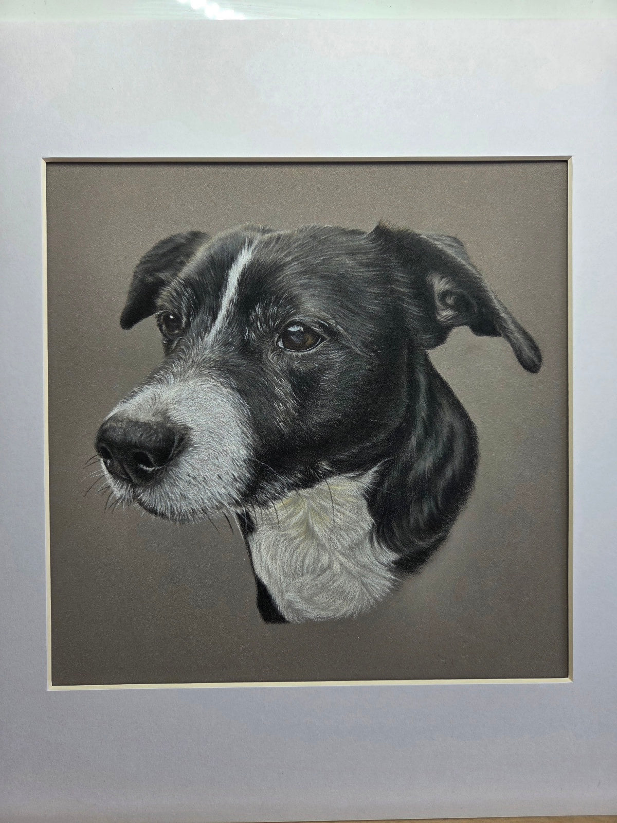 Custom Pet Portrait Hand Drawn in Colour Pencil – Head Study 8x8" Mounted to 12x12" | Personalised Dog Cat Portrait Gift