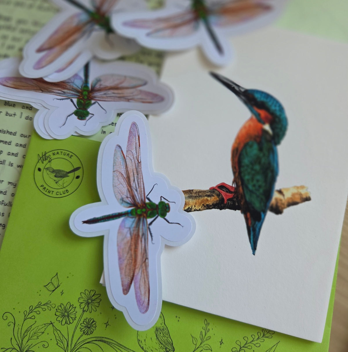 Nibs Nature Print Club - International