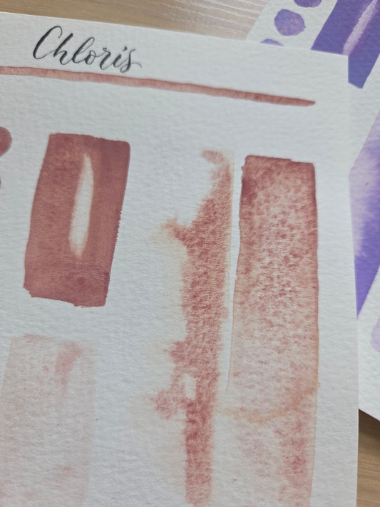 Handmade vegan watercolour paint | Previous Paint Club Paint | Chloris | dusky pink)