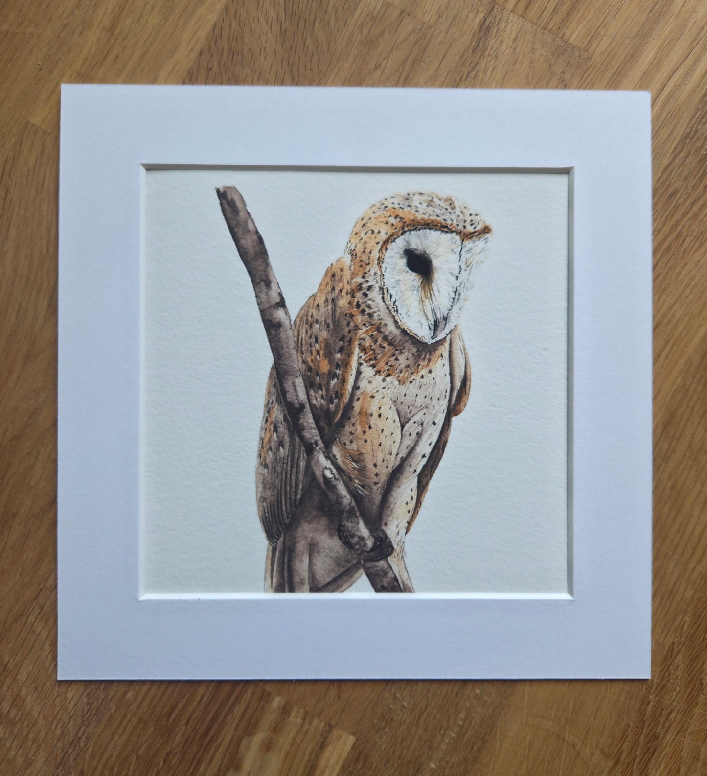 Barn Owl mini Art Print
