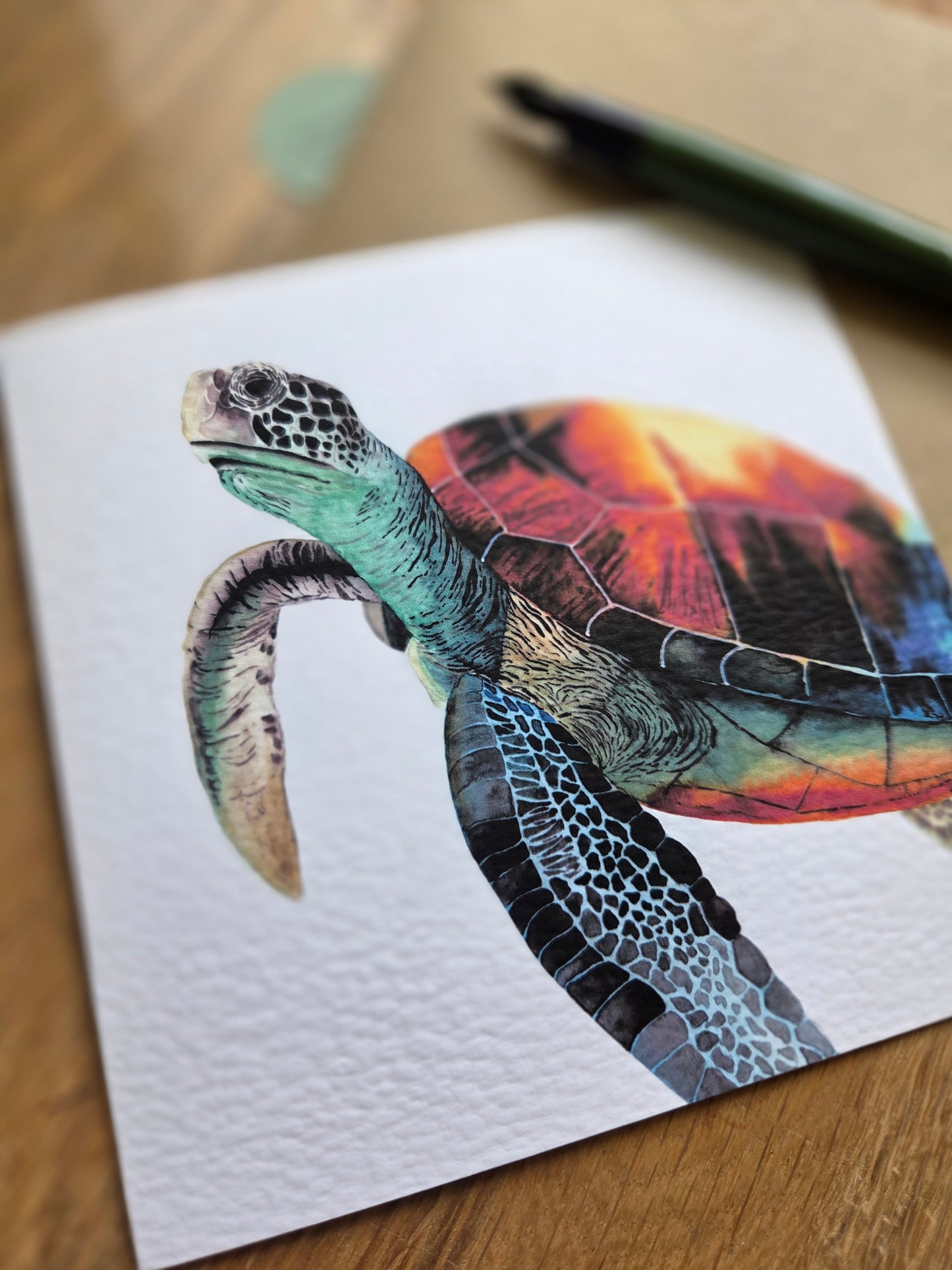 Turtle Greetings Card
