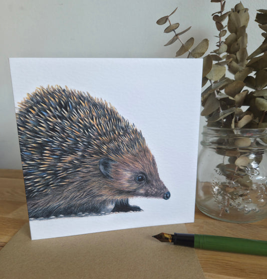 Hedgehog Greetings Card