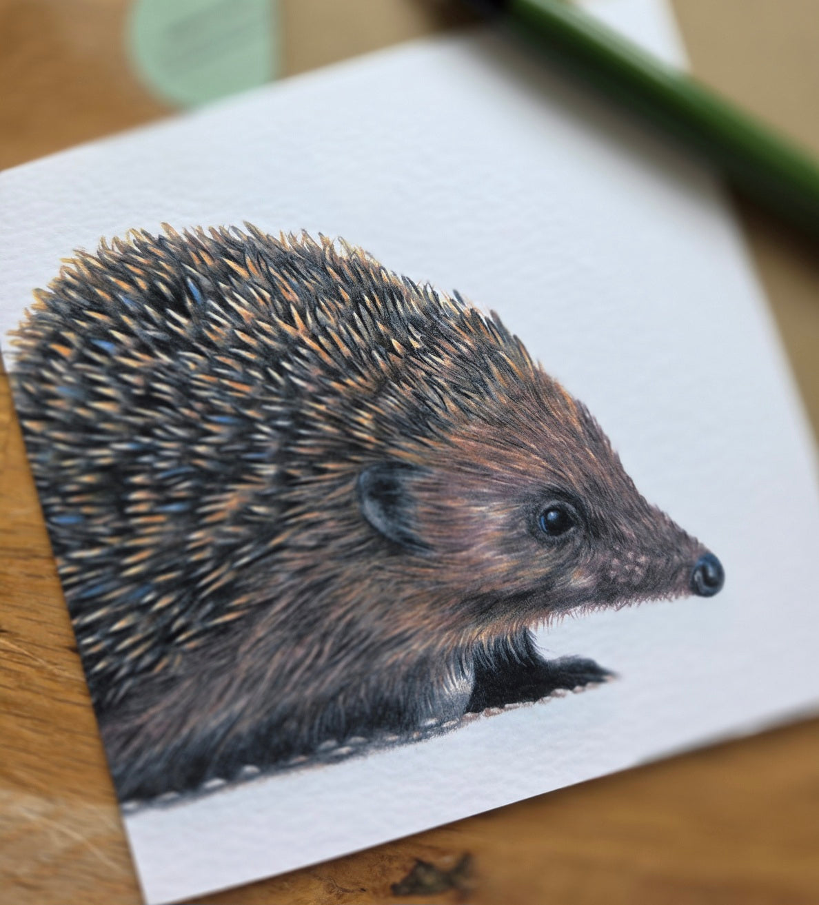 Hedgehog Greetings Card