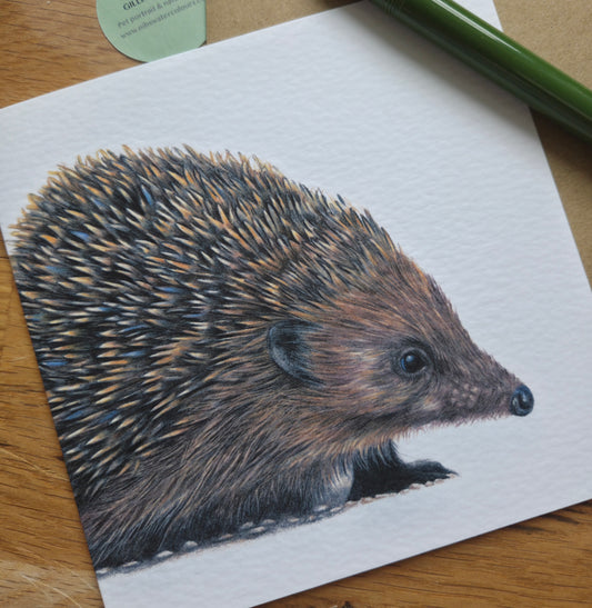 Hedgehog Greetings Card