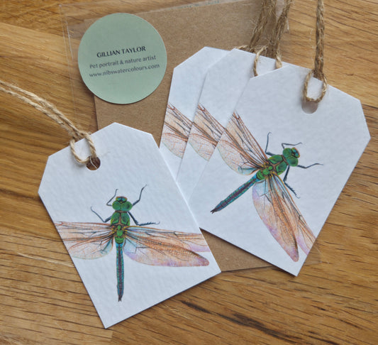 Set of 4 gift tags: Dragonfly