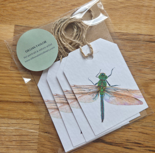 Set of 4 gift tags: Dragonfly