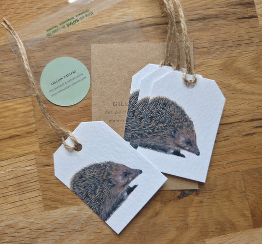 Set of 4 gift tags: Hedgehog