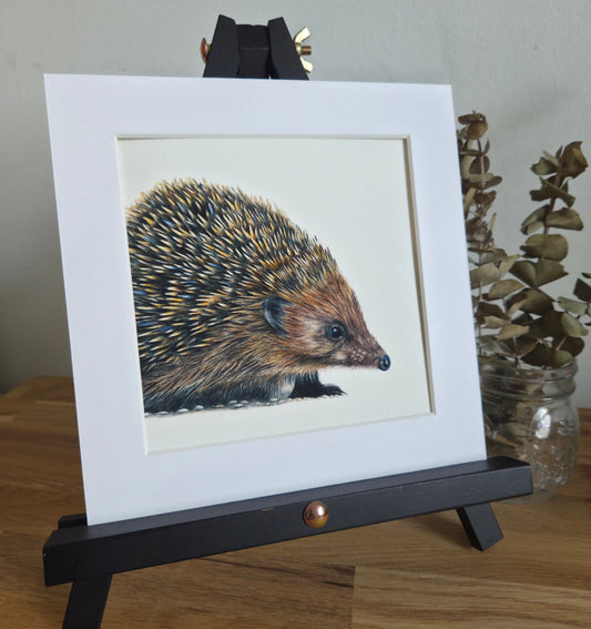 Hedgehog mini Art Print