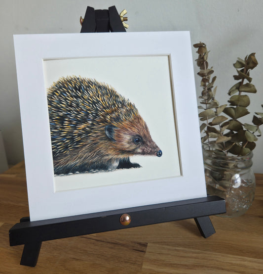 Hedgehog mini Art Print