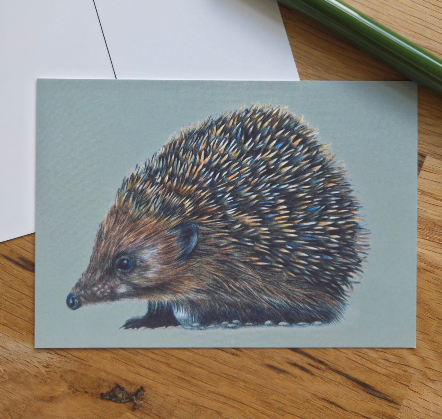Hedgehog illustrated post card