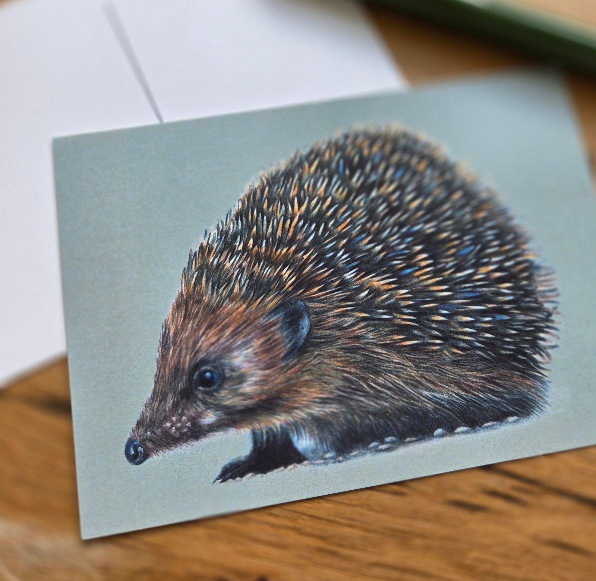 Hedgehog illustrated post card