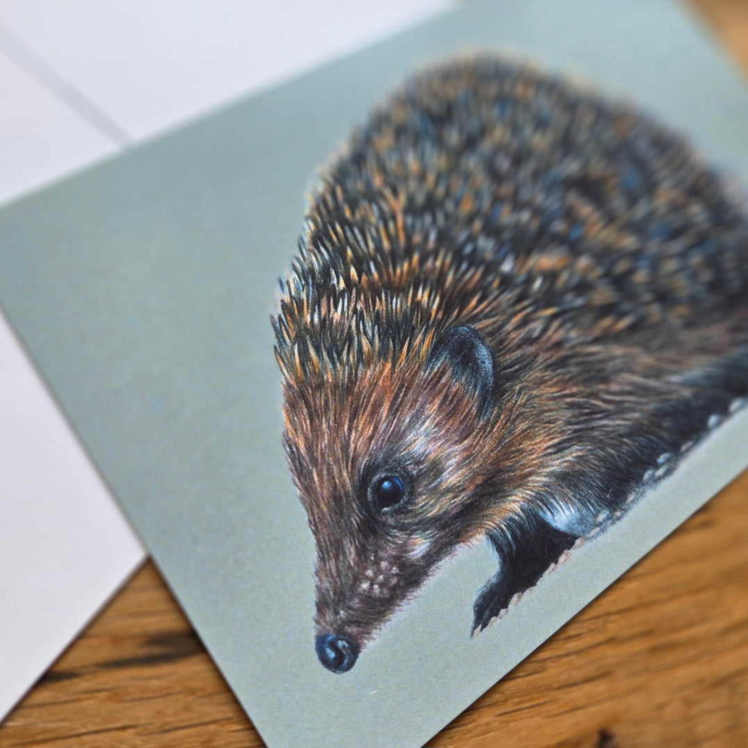 Hedgehog illustrated post card