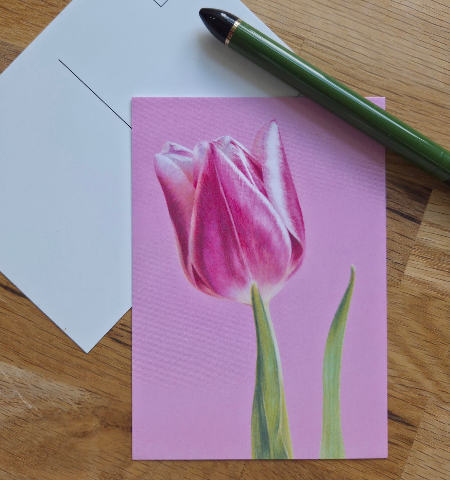 Tulip floral illustrated post card