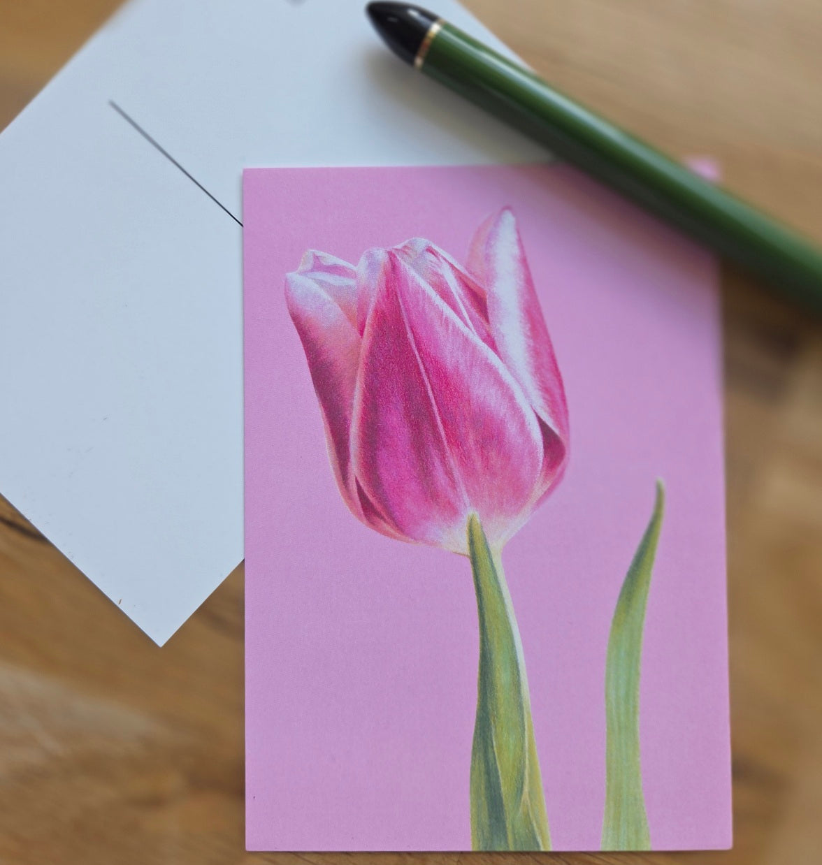 Tulip floral illustrated post card