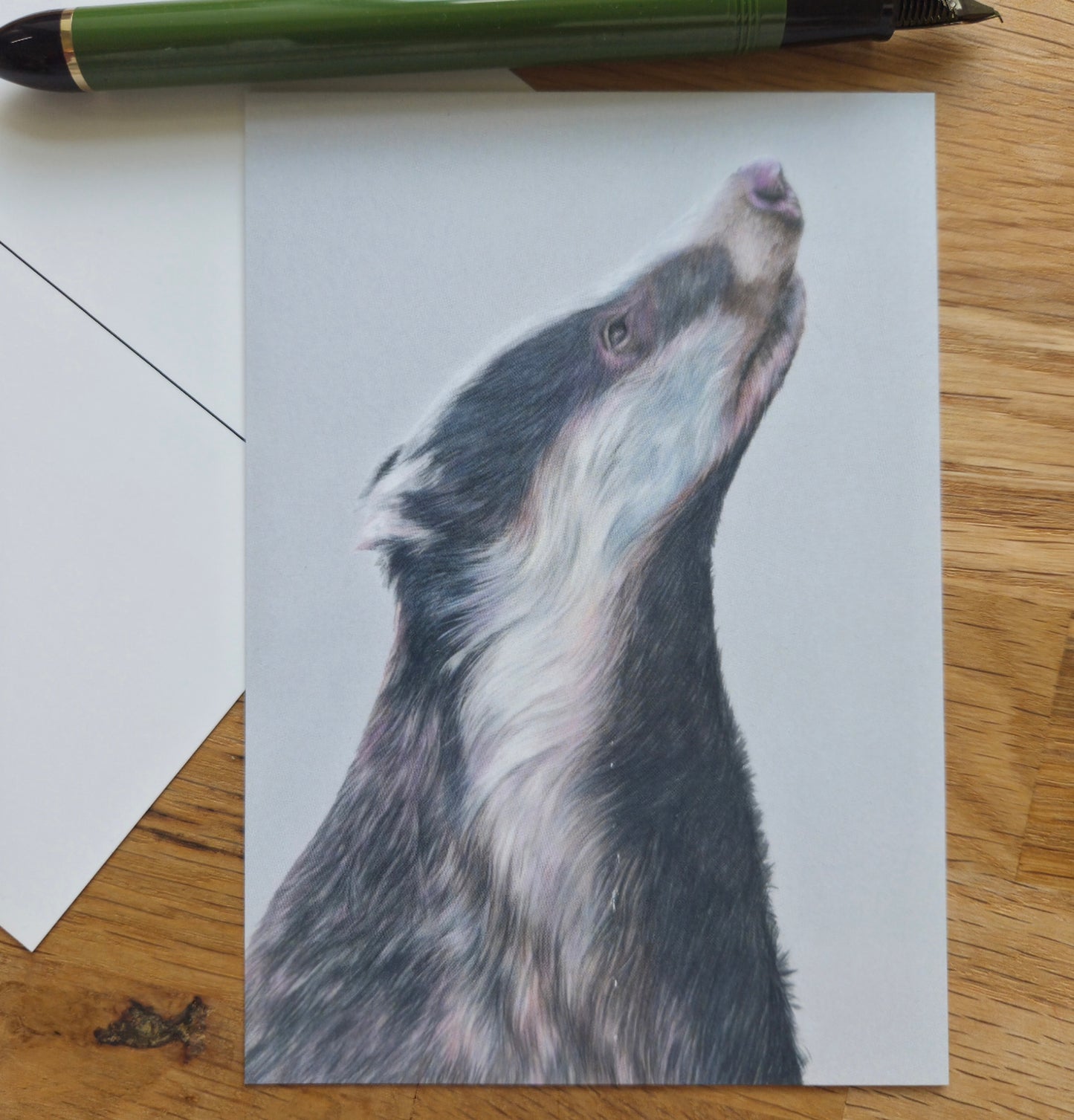 Badger illustrated post card