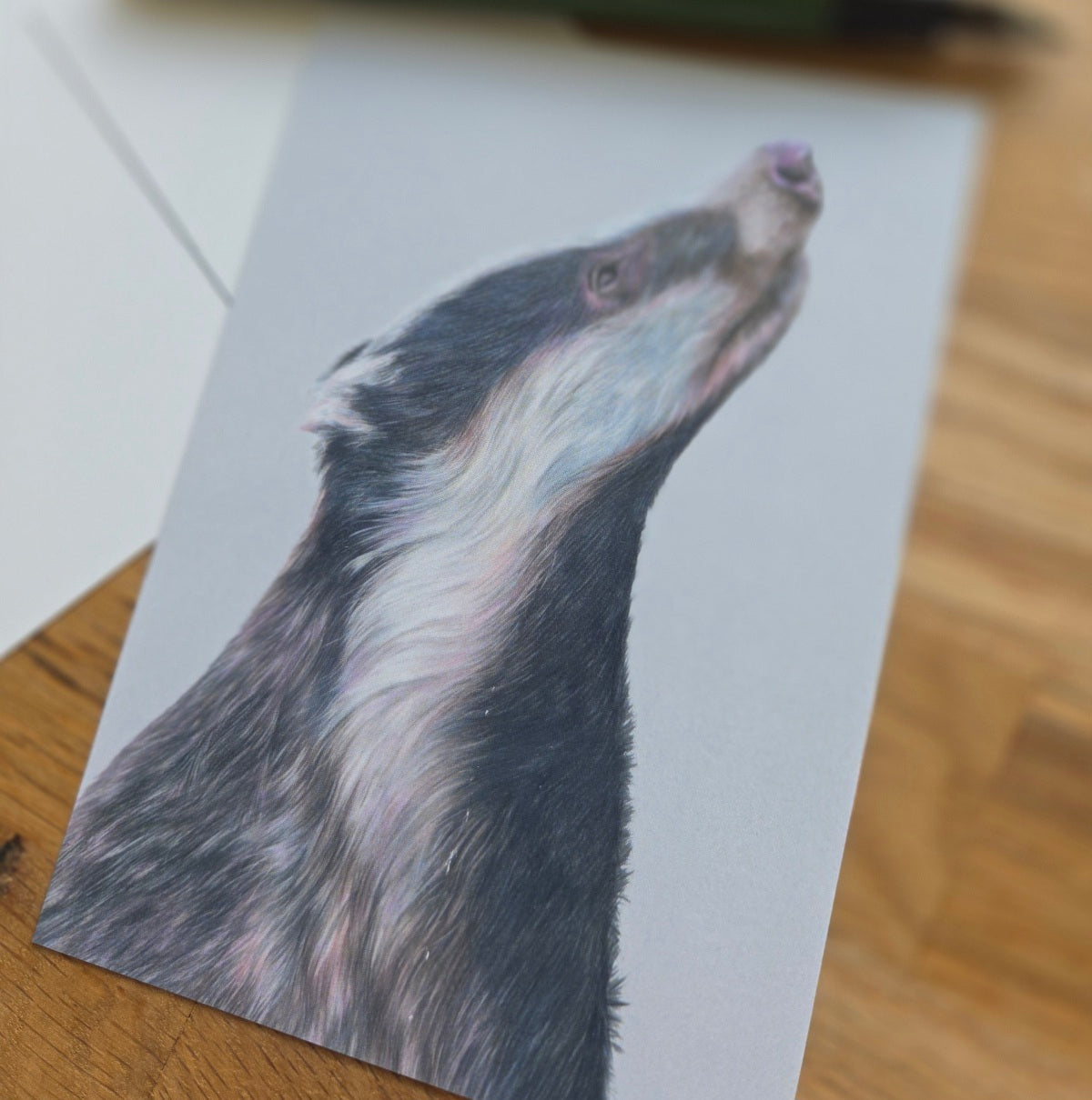 Badger illustrated post card