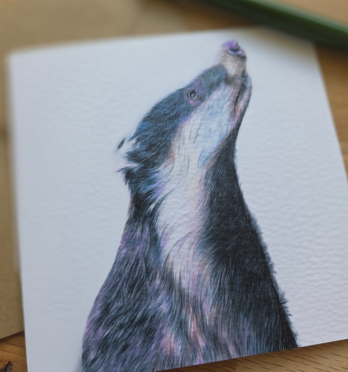 Badger Greetings Card
