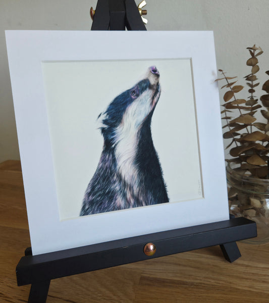 Badger Art Print