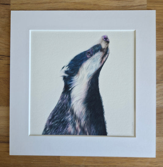 Badger Art Print