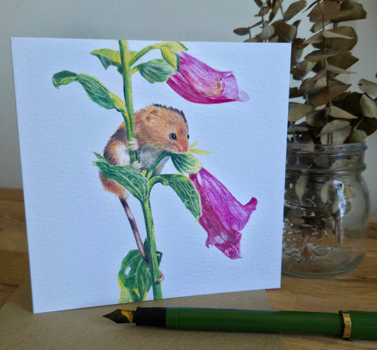 Mouse and foxglove Greetings Card
