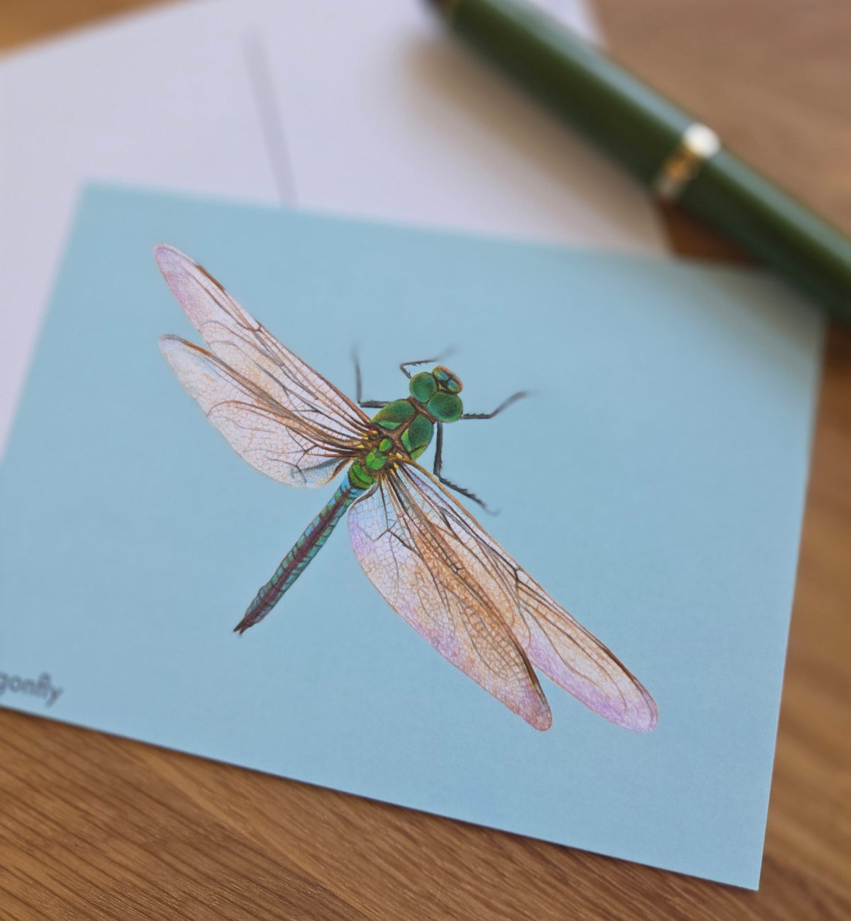 Dragonfly illustrated post card
