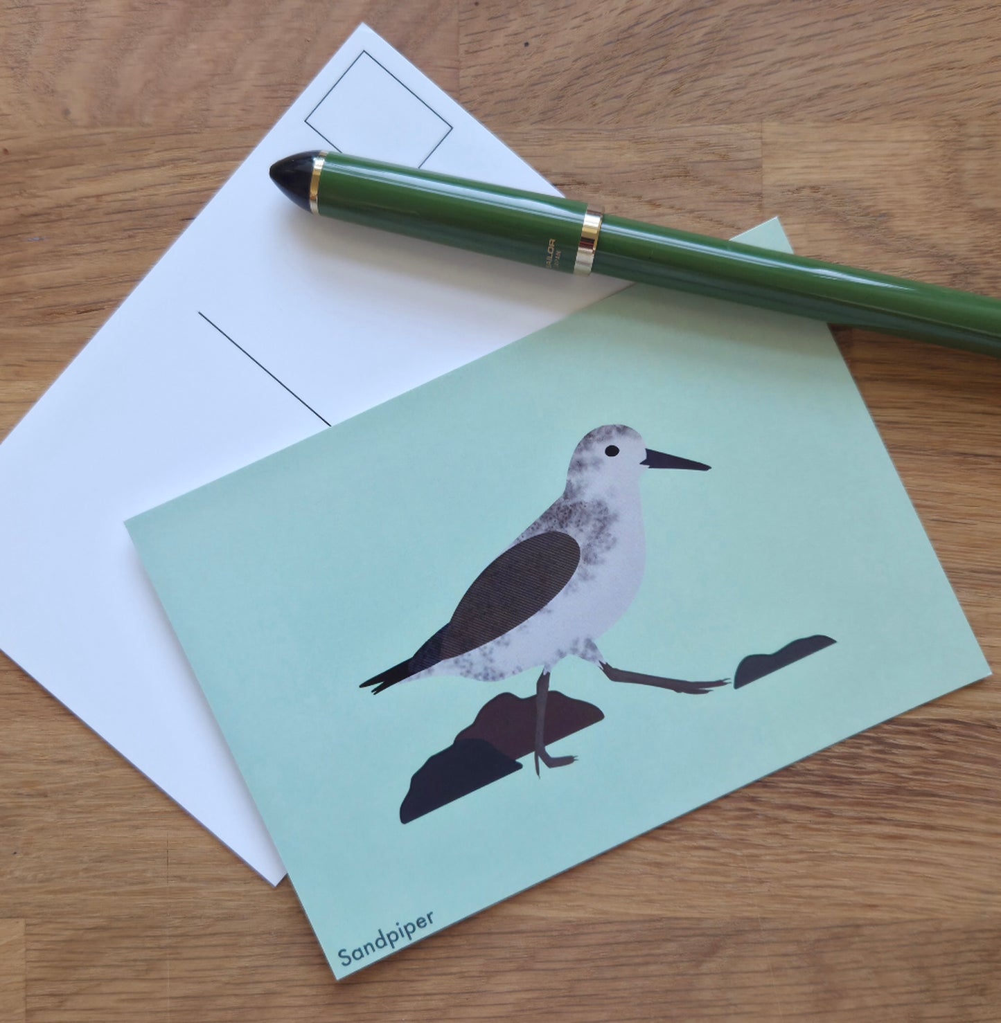 Sandpiper illustrated post card