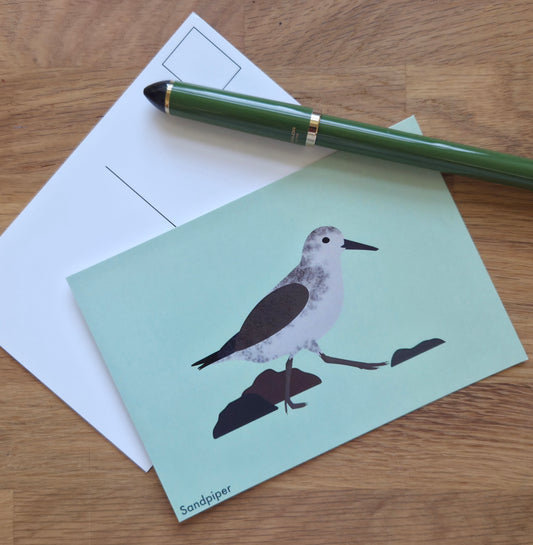 Sandpiper illustrated post card