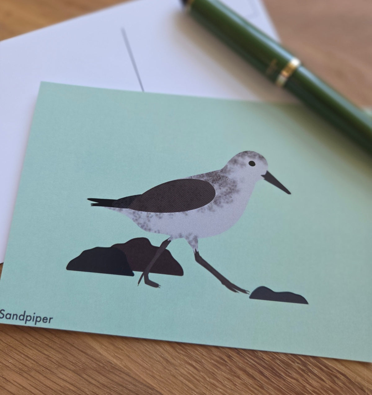 Sandpiper illustrated post card