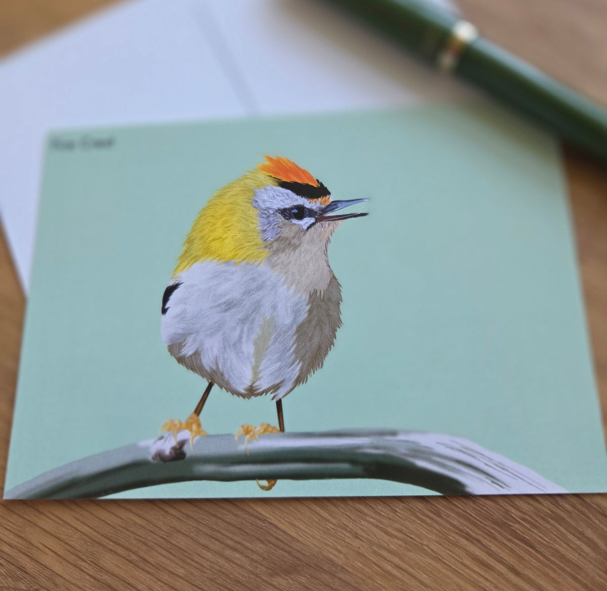 Firecrest bird illustrated post card