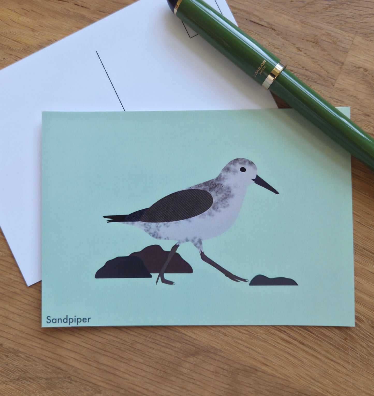 Sandpiper illustrated post card