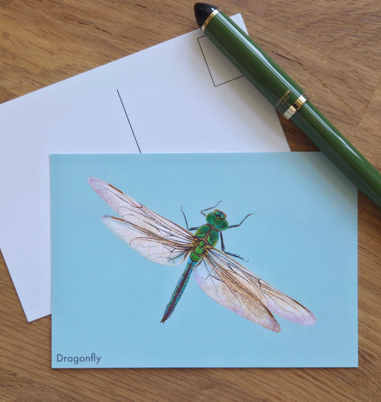 Dragonfly illustrated post card