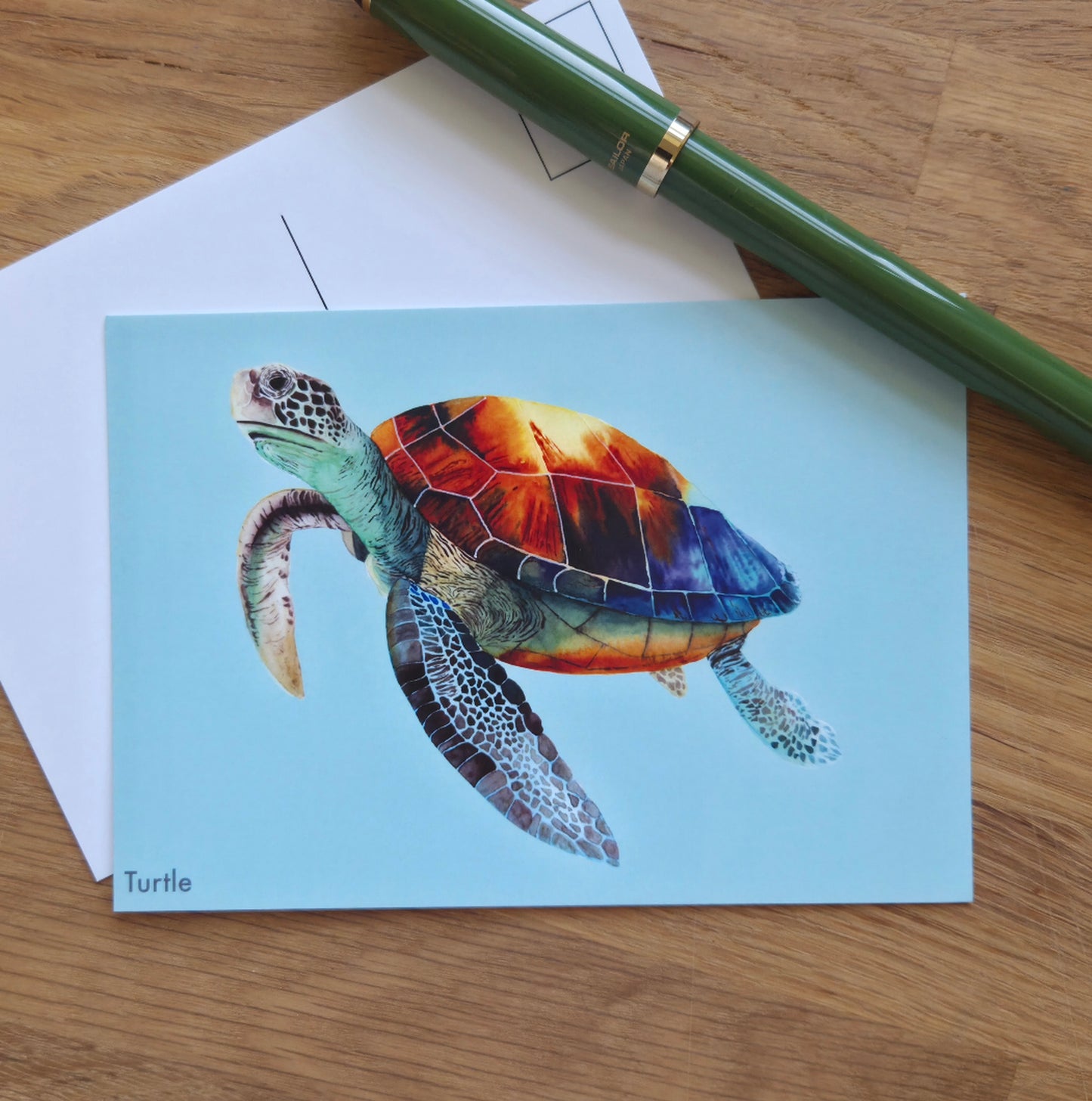 Turtle illustrated post card