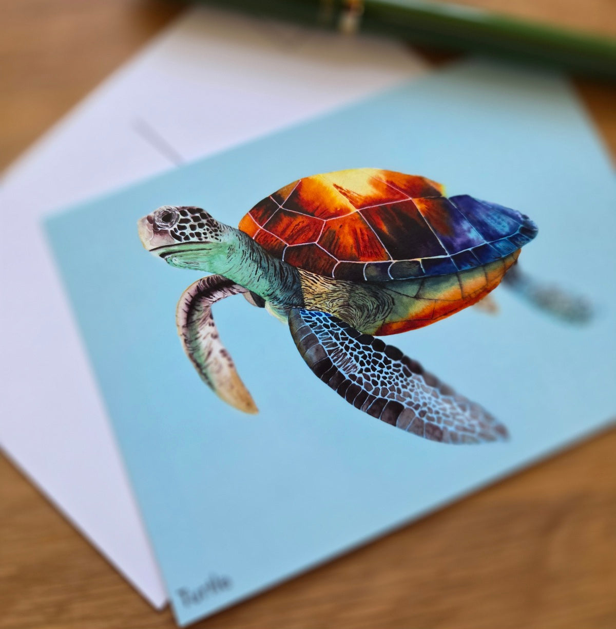 Turtle illustrated post card