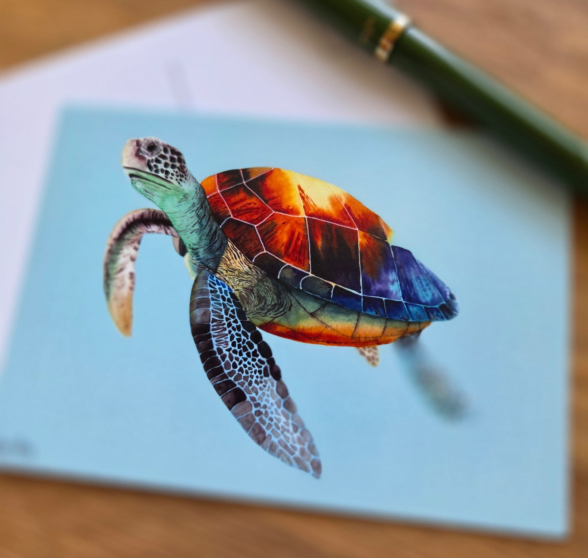 Turtle illustrated post card