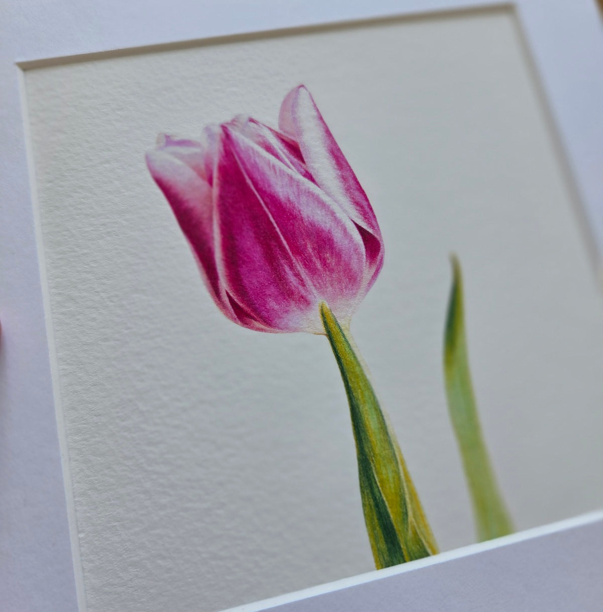 Tulip Art Print